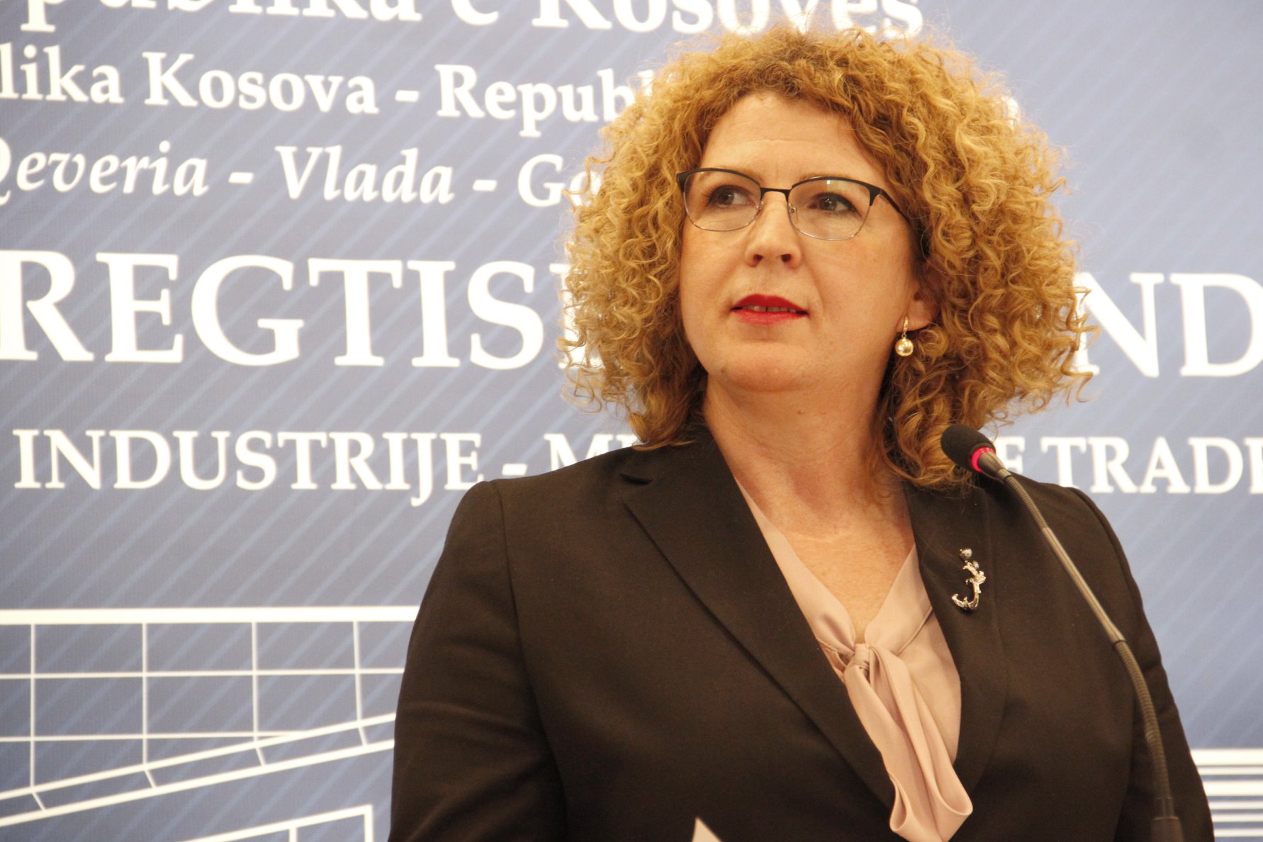 Hajdari: Mbi 720 milionë euro investime direkte gjatë 2022-ës, ulet bilanci tregtar