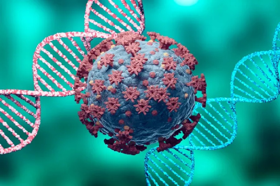 Studimi i ri zbulon se raca njerëzore varet në një virus i lashtë që infektoi ADN-në tonë