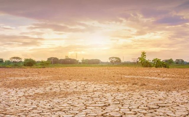 Paralajmërimi i shkencëtarëve nëse temperaturat nuk ulen deri në fund të vitit