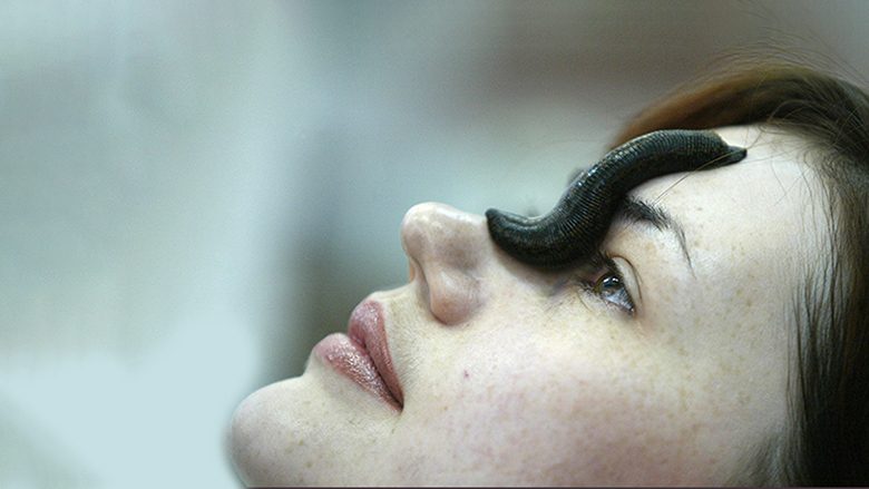 Mrekullia e shushunjave për rigjenerimin e lëkurës