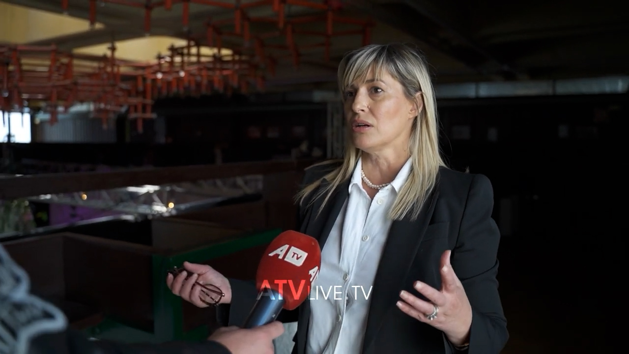 Rinovimi i Teatrit Kombëtar, projekti ende në fazat e hershme