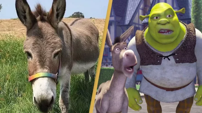Ngordh Perry, gomari që ishte frymëzim për personazhin e filmit “Shrek”