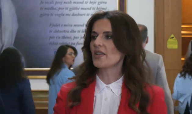 Çitaku: Kosova është më e madhe sesa një emër i përveçëm