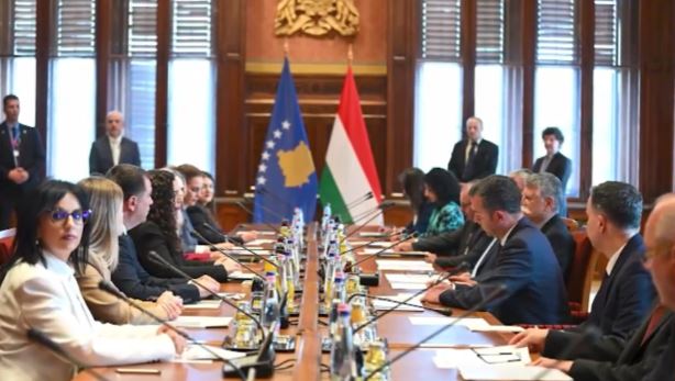 Osmani takon kryeparlamentarin hungarez