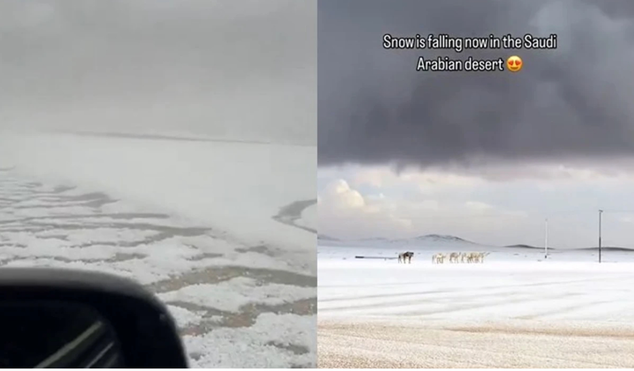 Shkretëtira e Arabisë Saudite zbardhet nga bora