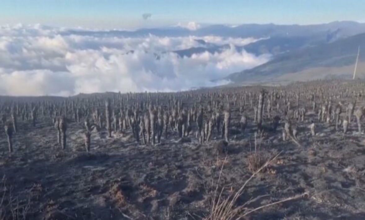 Fenomeni që po alarmon shkencëtarët. “El nino” dhe “La nina” pritet të godasë Tokën