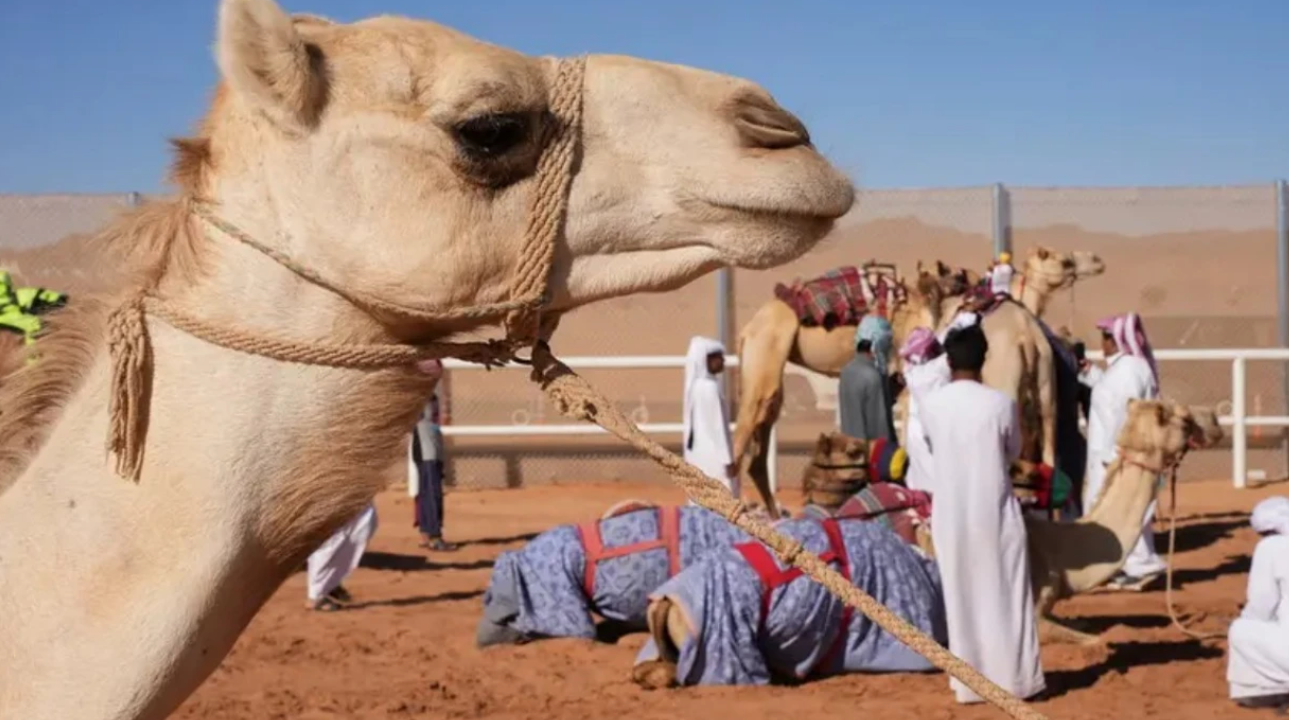 Arabia Saudite do të lëshojë pasaporta për devetë